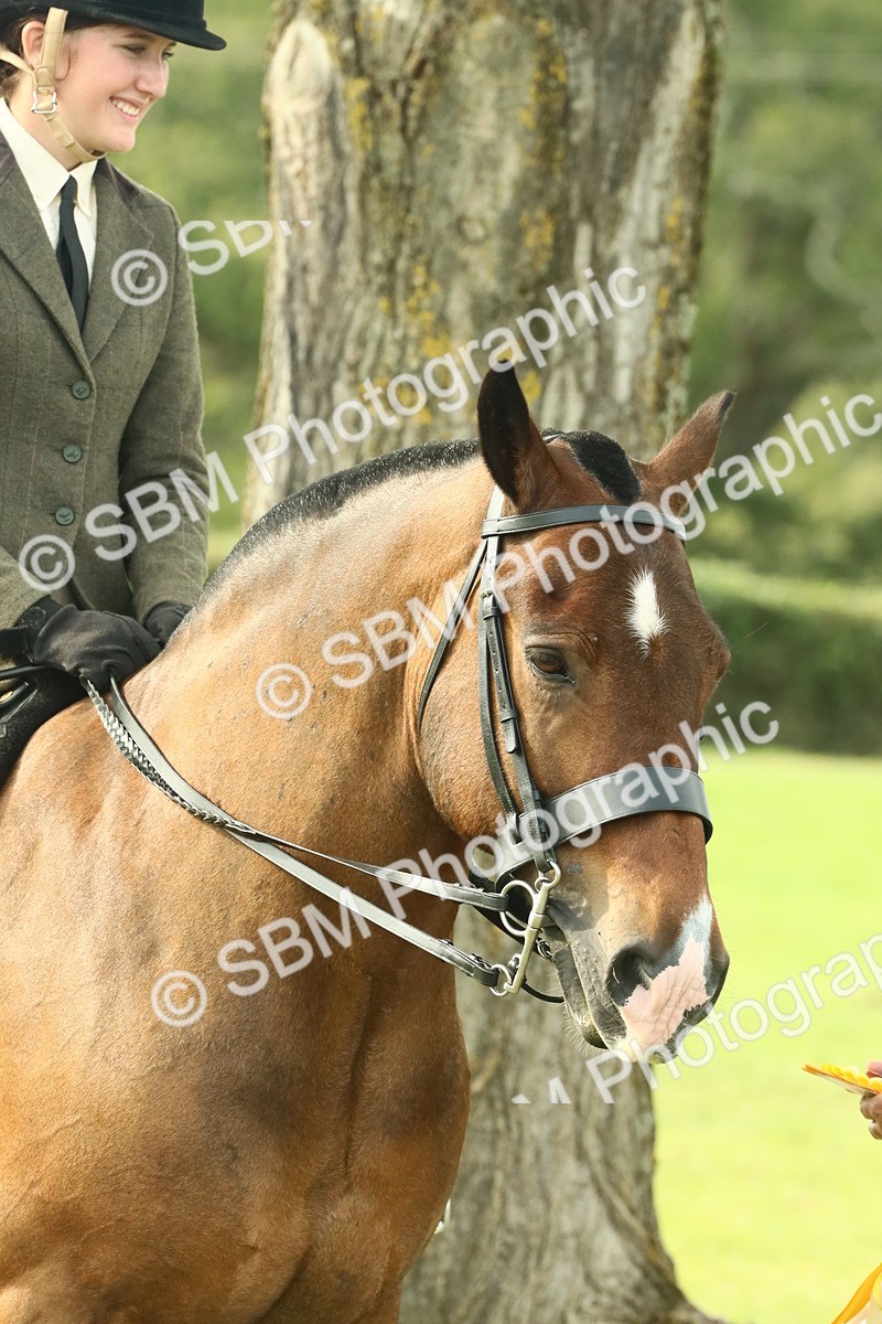 SBM_69388 - S58 - Mini Show Cob Ridden