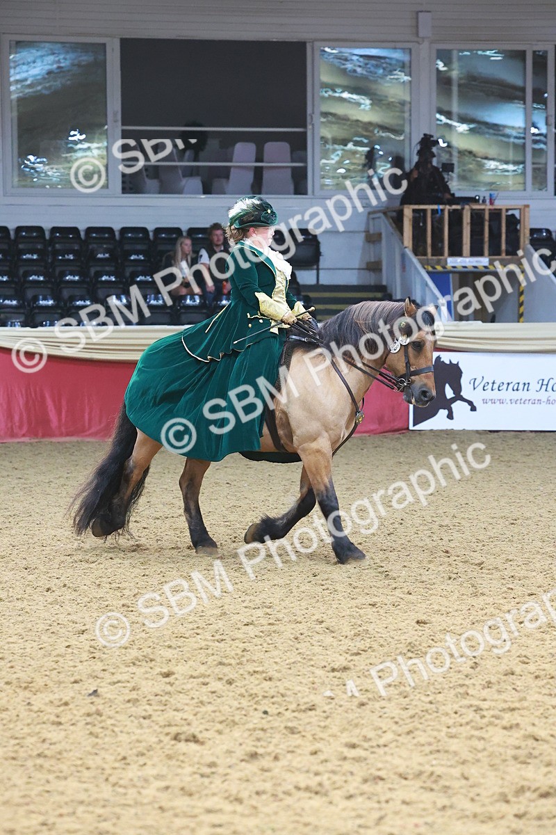SBM_14810 - Class 108 - Ridden Costume - Astride Adult (20+)