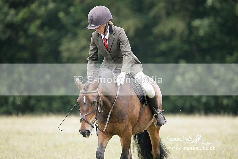 BVRC 030721 415 - Bourne Valley Riding Club Dressage 03/07/21