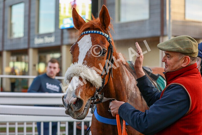 281224-Race 5-Poetry Man-1770 - Race 5