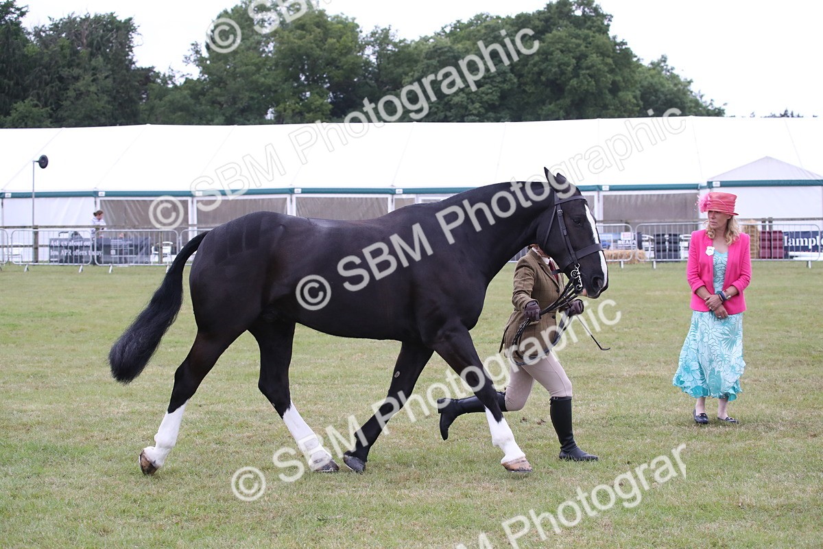 SBM_11281