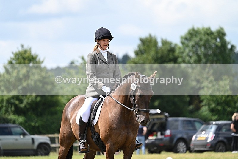 WJ7_4888 - Time 11:22 to 11:51