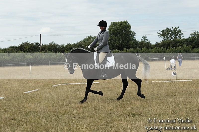 _PJP5753 - Dressage Classes BVRC Show 2018