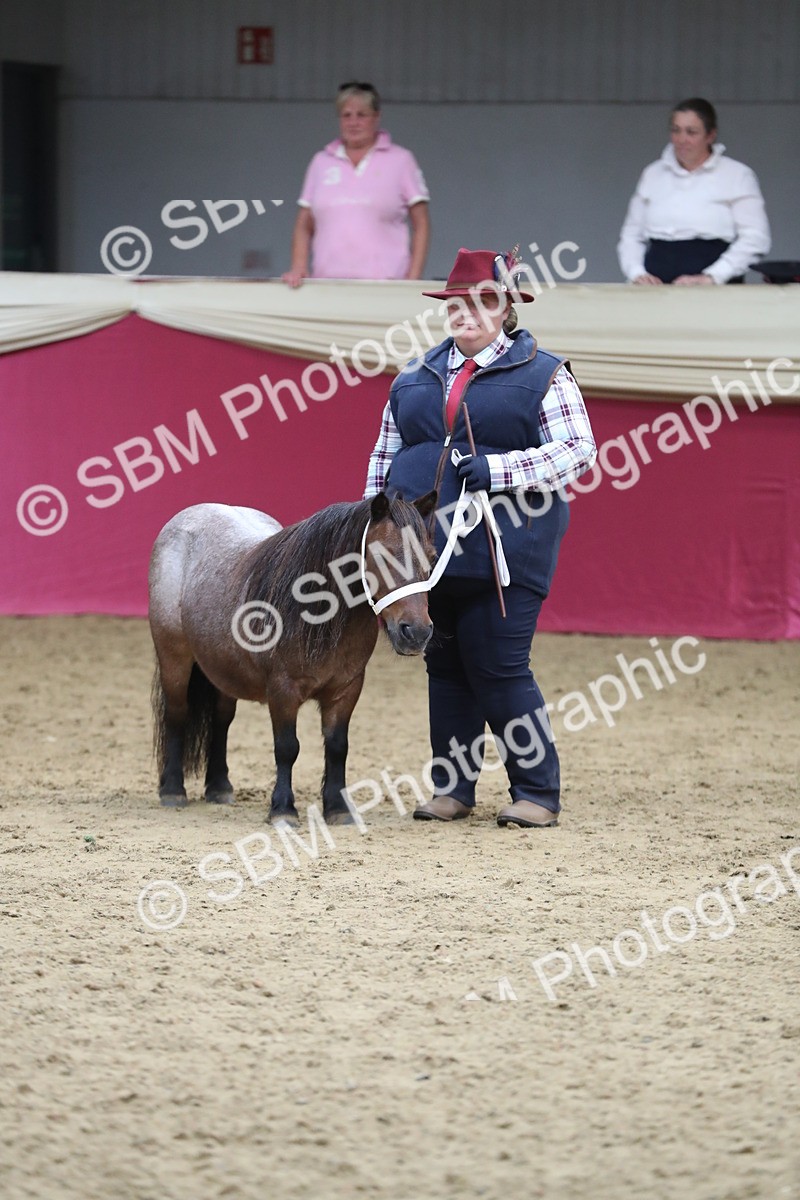 SBM_06439 - Class 9R Regional- IH Pre Vet