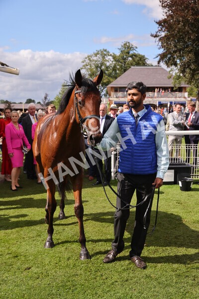 yr19082022r3-57 - Race 3 3.00pm Al Basti Equiworld Dubai Gimcrack Stakes