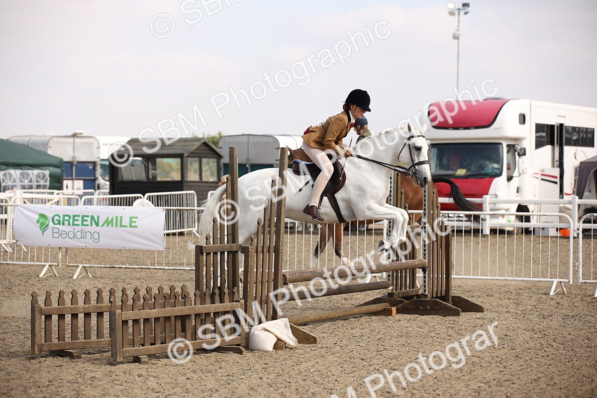 SBM_15045 - Class 408a - Working Veteran 70cm (15-19