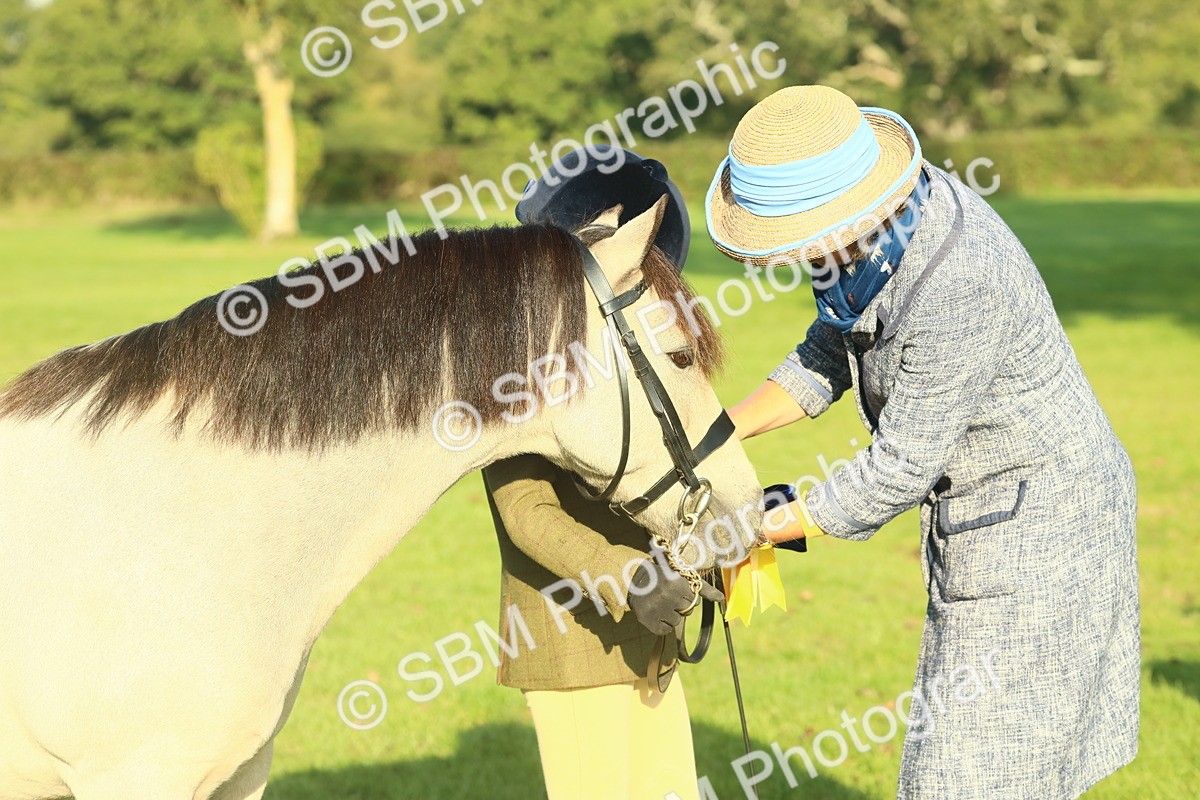 SBM_58459 - S37 - Starters In Hand Showing