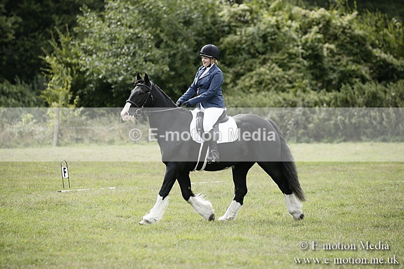 BVR080918 155 - BVRC Novice Dressage & CR 08/09/18