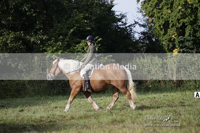 BVRC 120921 17 - Bourne Valley Riding Club UA Dressage & Show Jumping 12/09/21