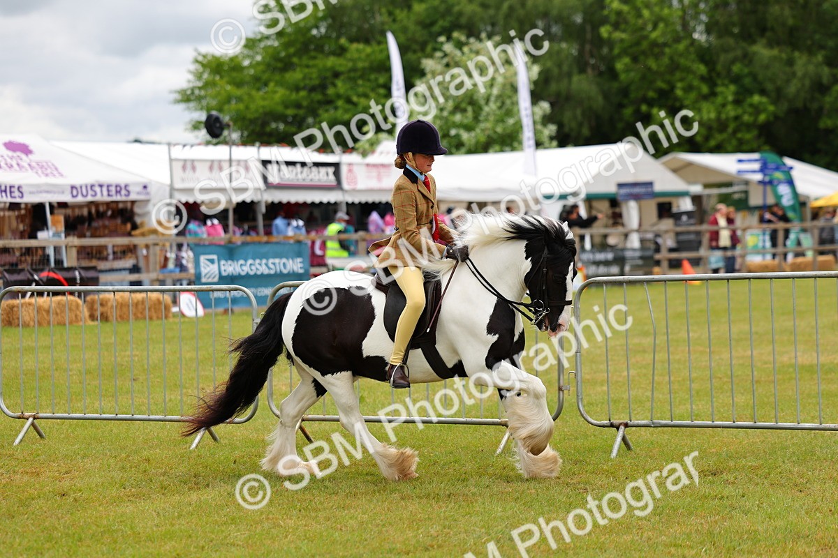SBM_02624 - Class 9-11 Side Saddle including LIHS Rising Star Ladies Show Horse
