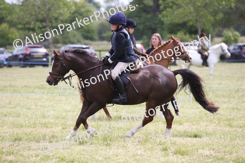 20260614-2798 - Class 22 - Open Working Hunter
