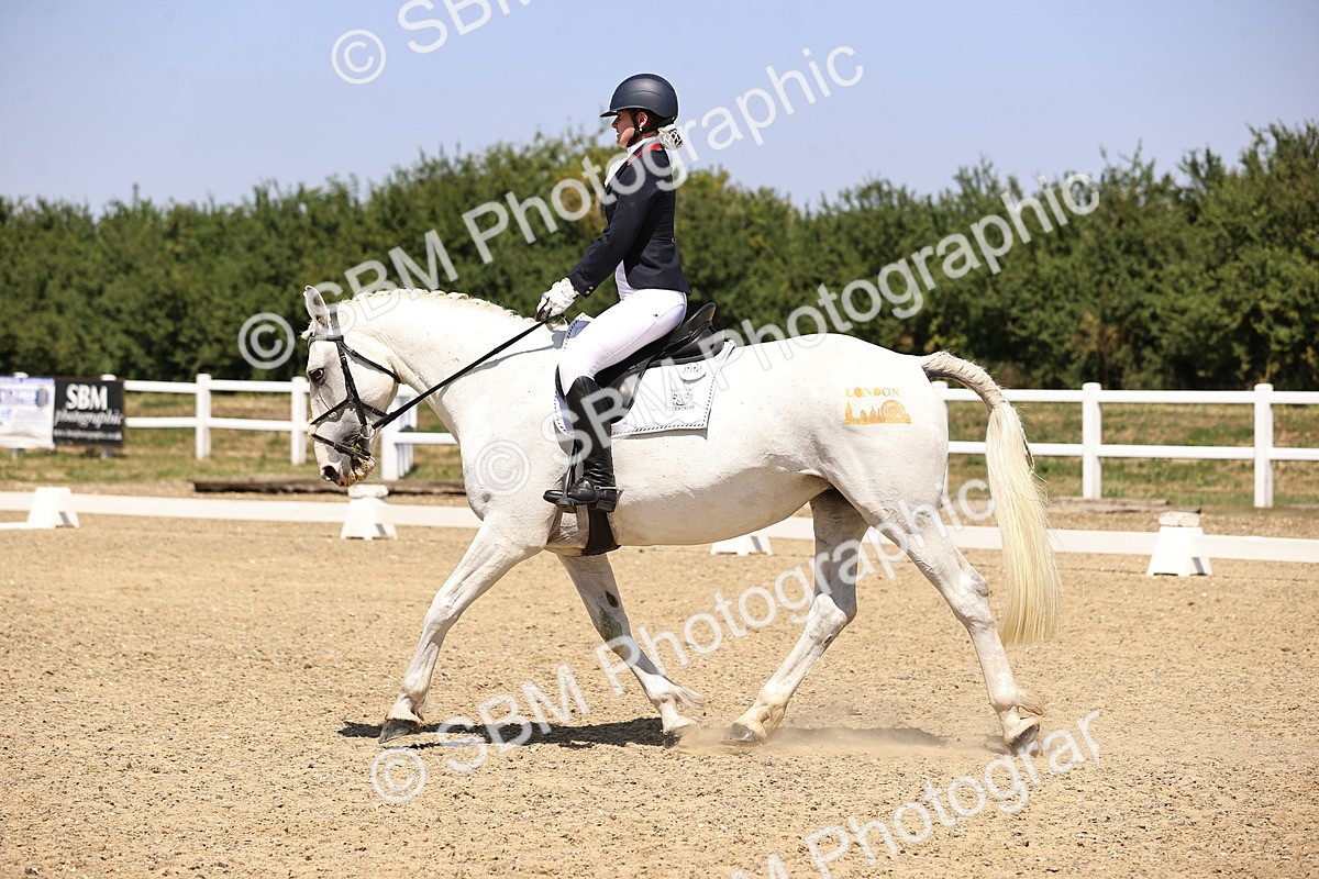 SBM_004116 - Intro 2