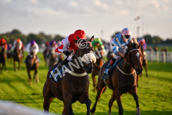 yr07102022r7-33 - Race 7 5.35pm IRE Incentive, It Pays To Buy Irish Stakes