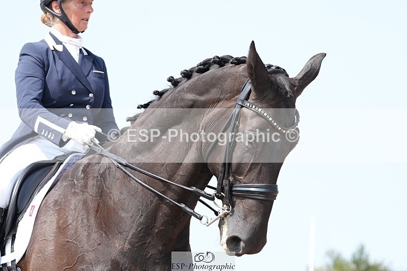 250815-130335-01168 - 017-elaine.scottFlorava