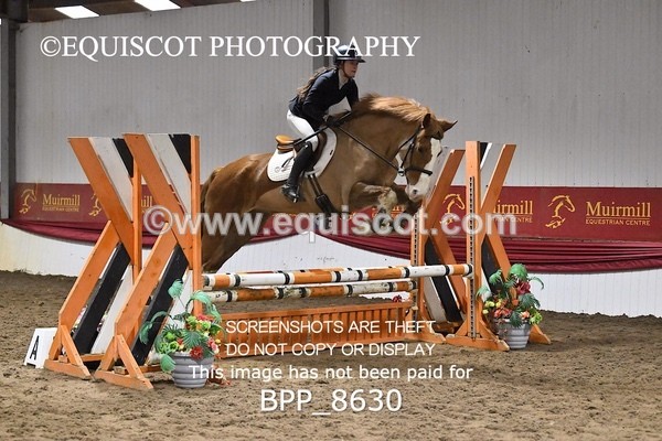 BPP_8630 - CLASS 1 Club/ Unaffiliated 80cms Open