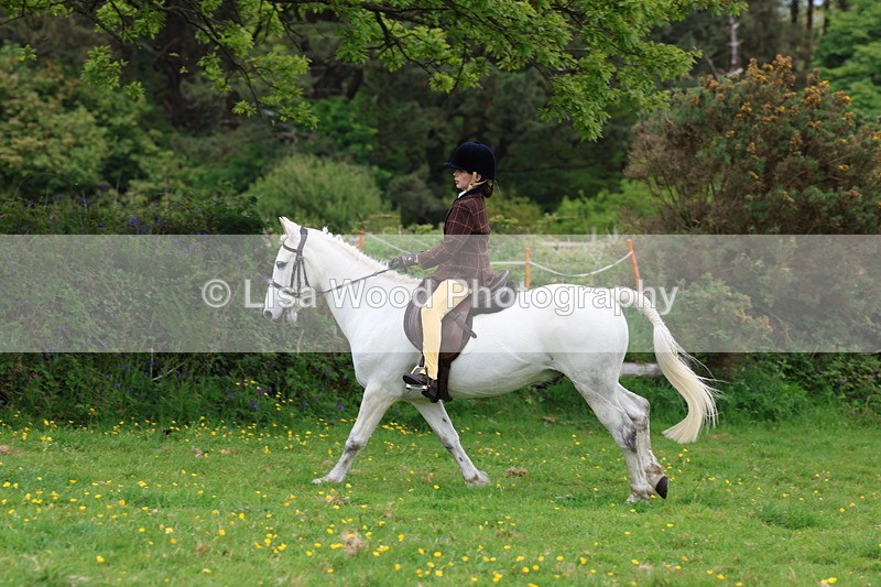 3E7A1819 - Class 9: Riding Club Horse/Pony