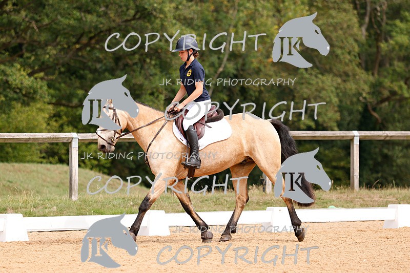 _R6A2813 - Dressage Morning