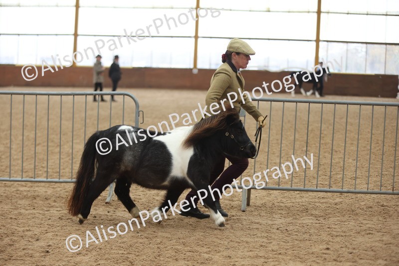 20251109-0222 - Class 11 - 2 and 3 Year Old