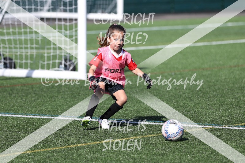 1DX34074 - Sat 13th U7 & U8 Girls
