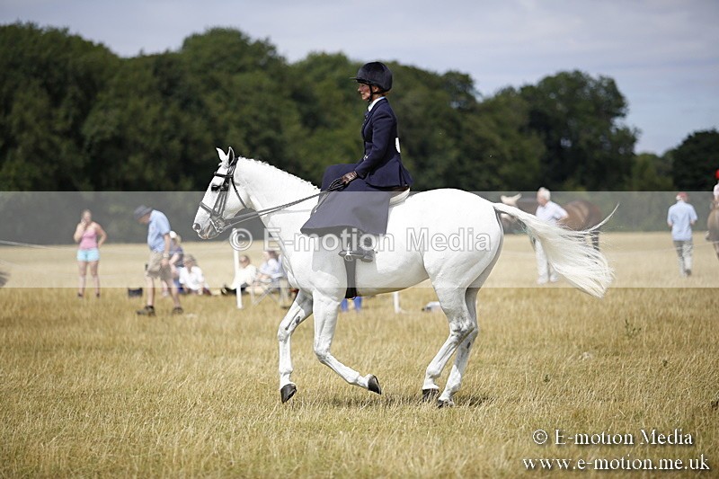 _C7A0276 - Side Saddle Classes BVRC Show 2018