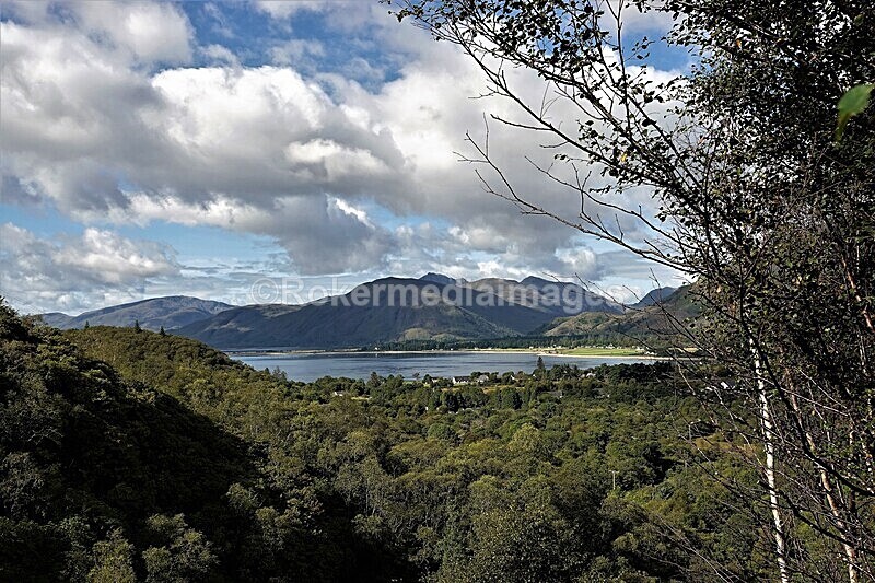 DSC07834 - SEPT 2020 STAYCATION