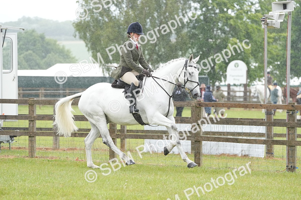 SBM_12681 - Class 97-98 - LIHS BSHA Rising Star Working Show Horse Hunter