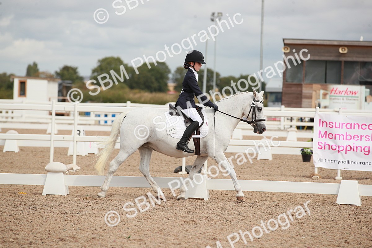 SBM_03982 - Class 31 - Prelim 1