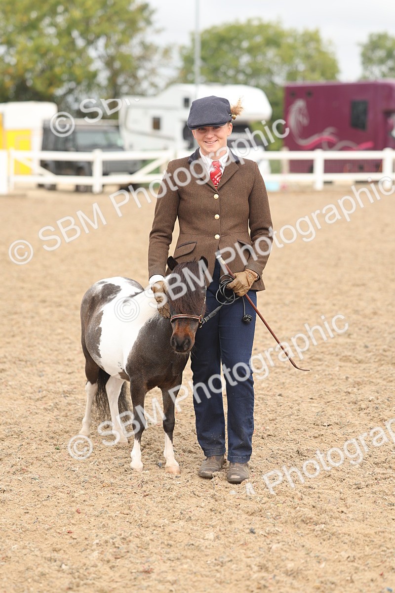 SBM_02100 - Class 15 - IH Coloured