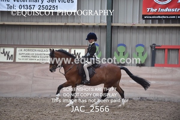 JAC_2566 - CLASS 3 Intermediate Working Hunter