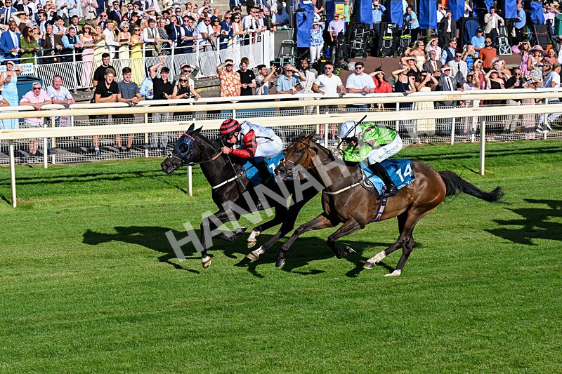 240726-Race 2-Vaguely Royal-0237 - Race 2 18.05pm Elevator Company Handicap