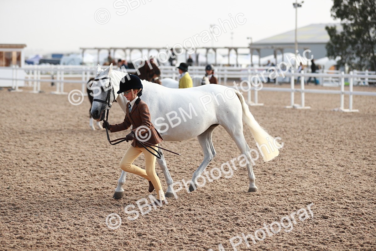 SBM_09892 - Class 203 Young Handler, 10 years and under