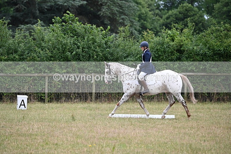 WJ6_0590 - Time 10:18 to 10:26