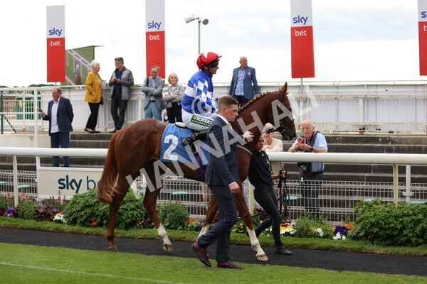 yr22052022r2-3 - Race 2: 4:00pm Sky Bet Sunday Series EBF Novice Stakes