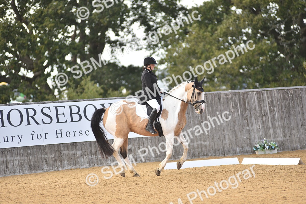 SBM_24352 - D4 - Small Tour Championship Intro 4