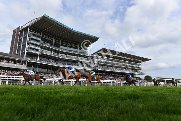 yr13052022r5-33 - Race 5 4.10pm Paddy Power 'Fill Thi Boots' Stakes