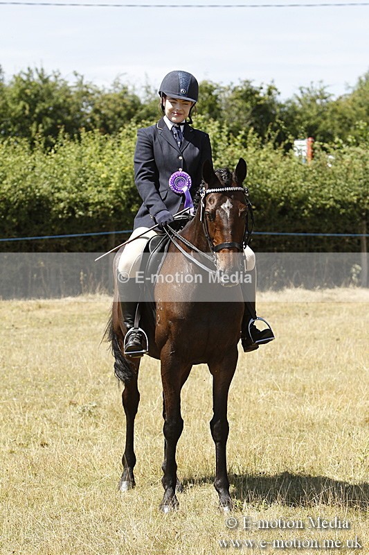 _BS_0879 - BVRC Show 2018 Ring 1