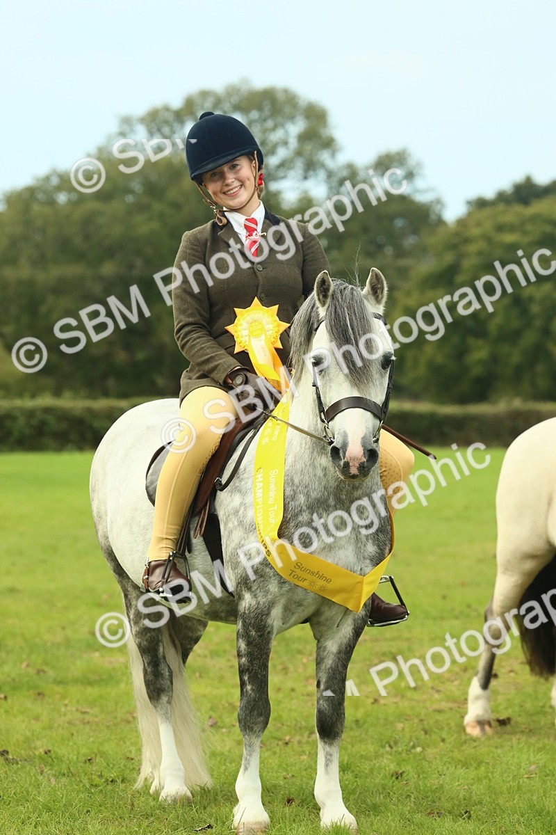 SBM_70031 - S59 - Mountain & Moorland Ridden Small Breeds