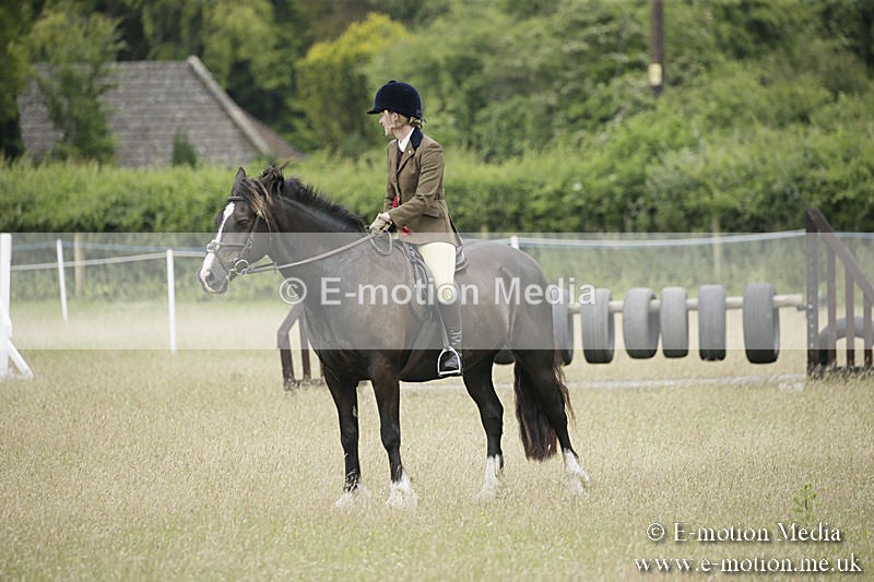 B230619-0972 - Bourne Valley Riding Club Summer Show 23/06/19