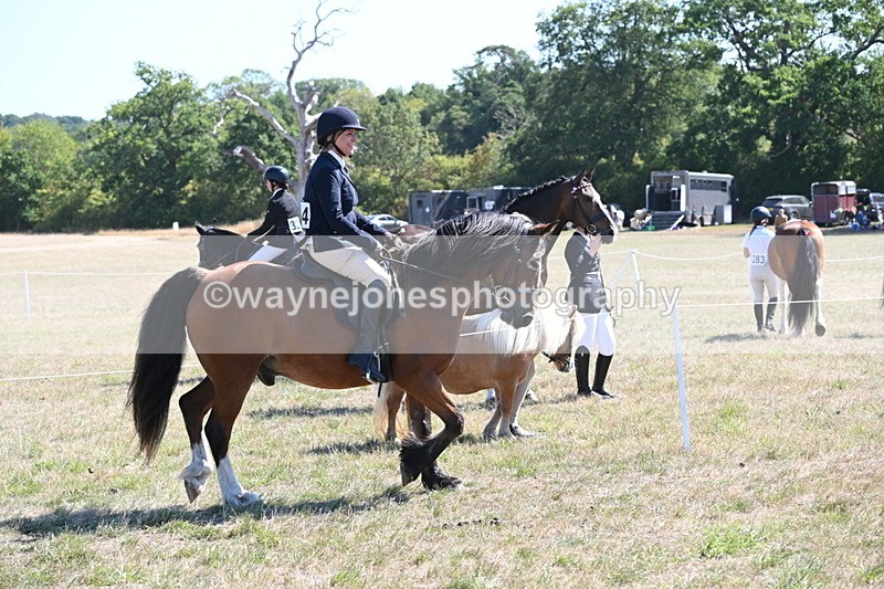 WJ6_8241 - Class 37a Best Loan Pony Ridden