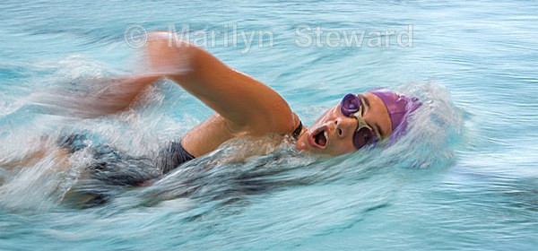 On the move - Exhibition acceptances