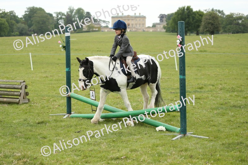 20250517-0485 - Class 20 - Beginners Working Hunter
