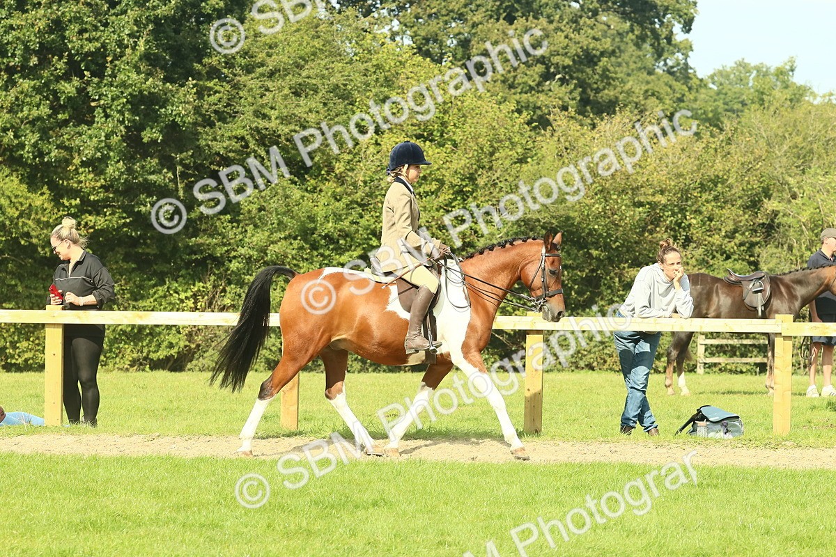 SBM_67399 - S56 - Coloured Pony Ridden