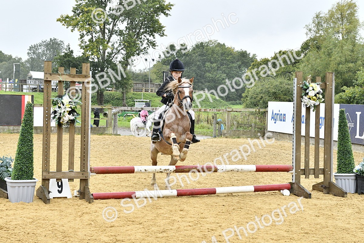 SBM_70849 - J3 - Mini Tour Junior Pony 40cm championship