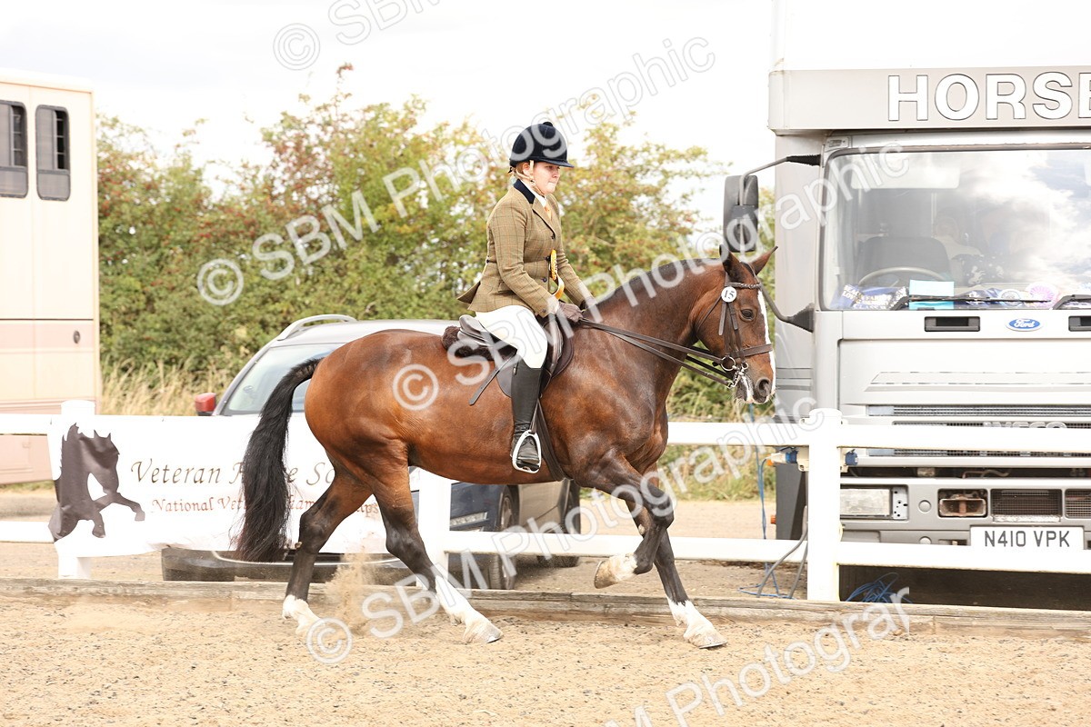 SBM_05181 - Class 56a -  Style & Performance - 50cm (15-19)