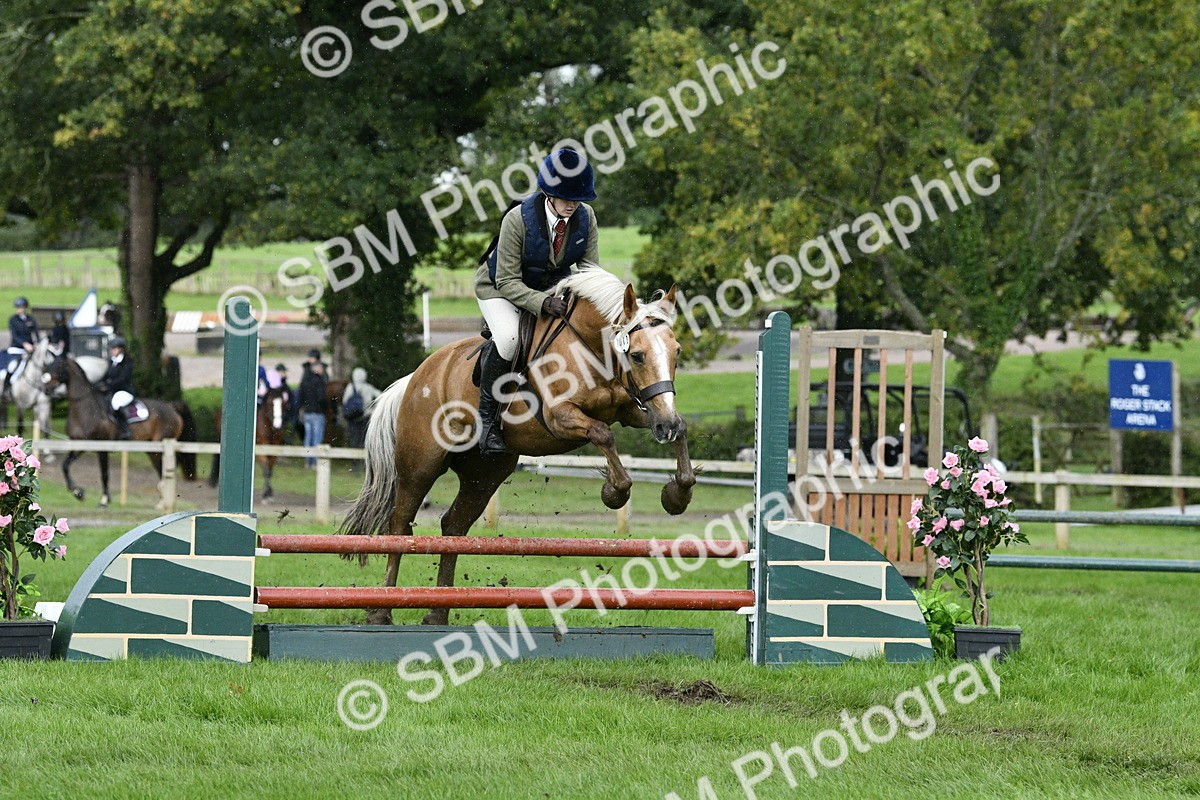 SBM_42246 - S32 - Mountain & Moorland Working Hunter Pony