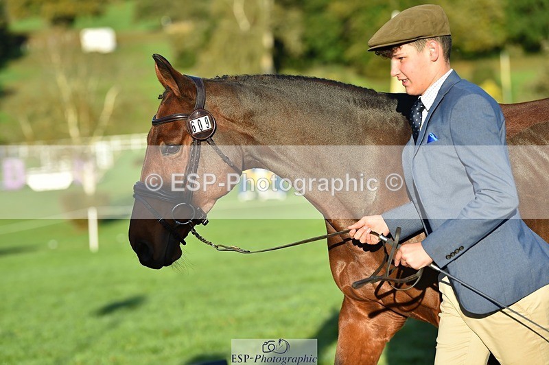 231022-091148-21610 - 609-WHAT.A.WONDER-Harry.Robinson-TrotUp+SJ