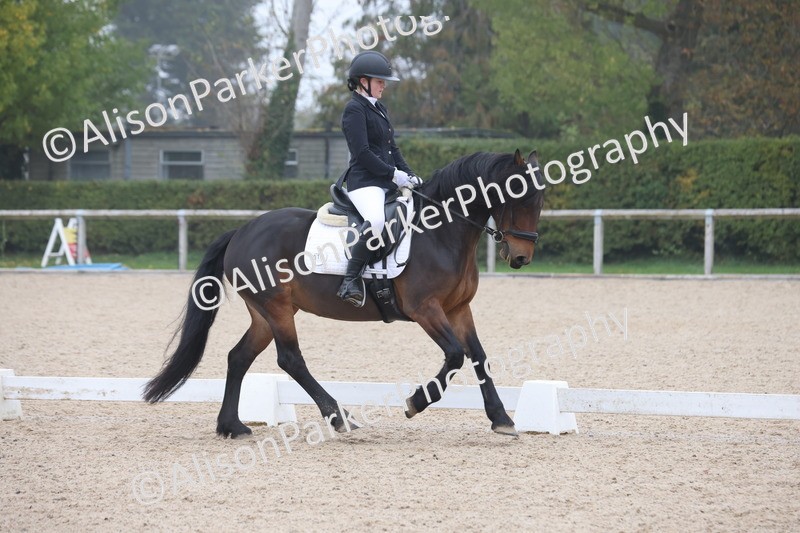 20251012-0435 - Class 3 - Novice 5