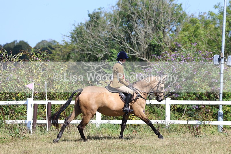 3E7A6366 - Working Hunter Championship