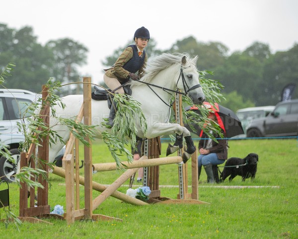 Dunblane show-548 - Dunblane and Doune Show Ring 1
