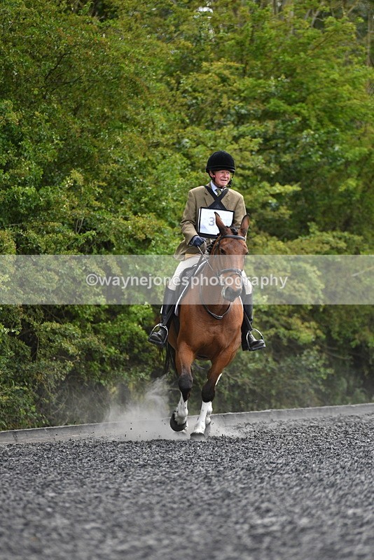 WJ5_0916 - Time 13:04 to 13:42